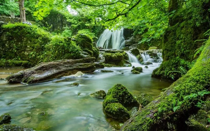智慧新型稳定性